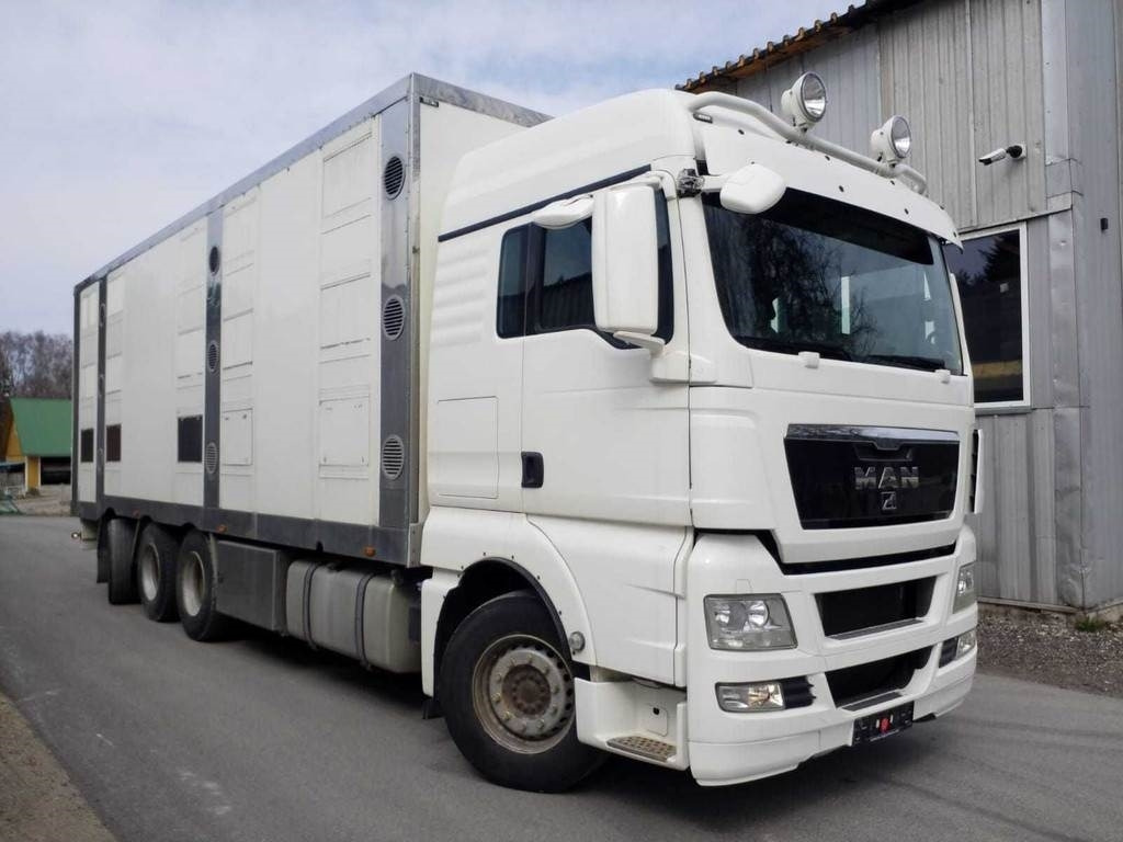 MAN TGX 35.540 8X4 TRIDEM ANIMAL  - Camion bétaillère: photos 4 MAN TGX 35.540 8X4 TRIDEM ANIMAL  - Camion bétaillère: photos 4