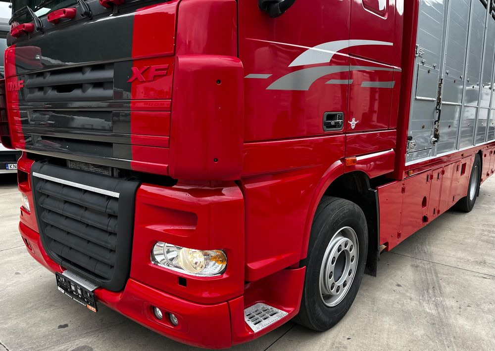 DAF XF 105.460 Euro 5 // Manual // Retarder // Do Żywca / Bydła / Zwierząt / - Camion bétaillère: photos 4 DAF XF 105.460 Euro 5 // Manual // Retarder // Do Żywca / Bydła / Zwierząt / - Camion bétaillère: photos 4