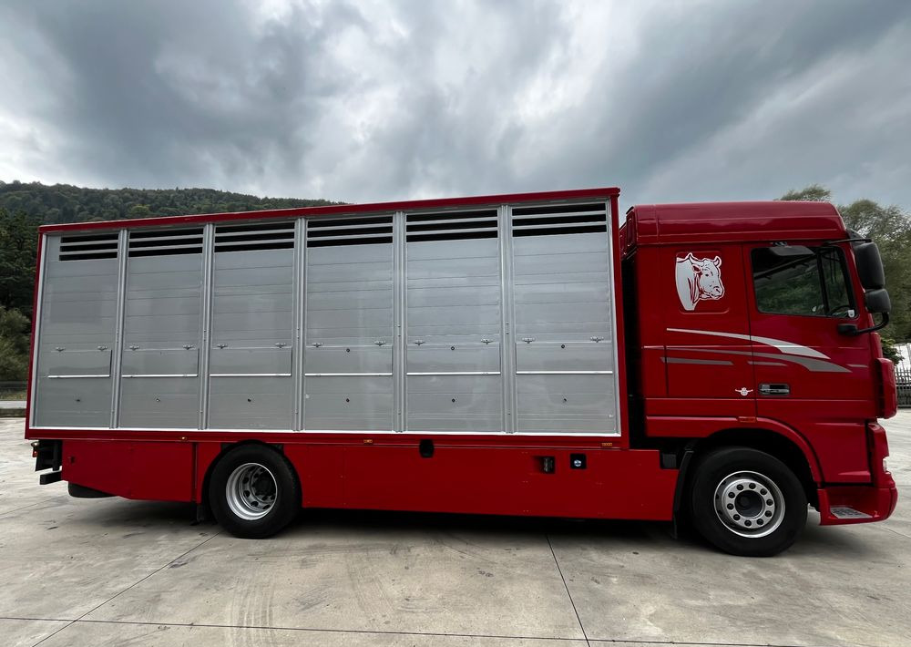 Camion bétaillère DAF XF 105.460 Euro 5 // Manual // Retarder // Do Żywca / Bydła / Zwierząt /: photos 6