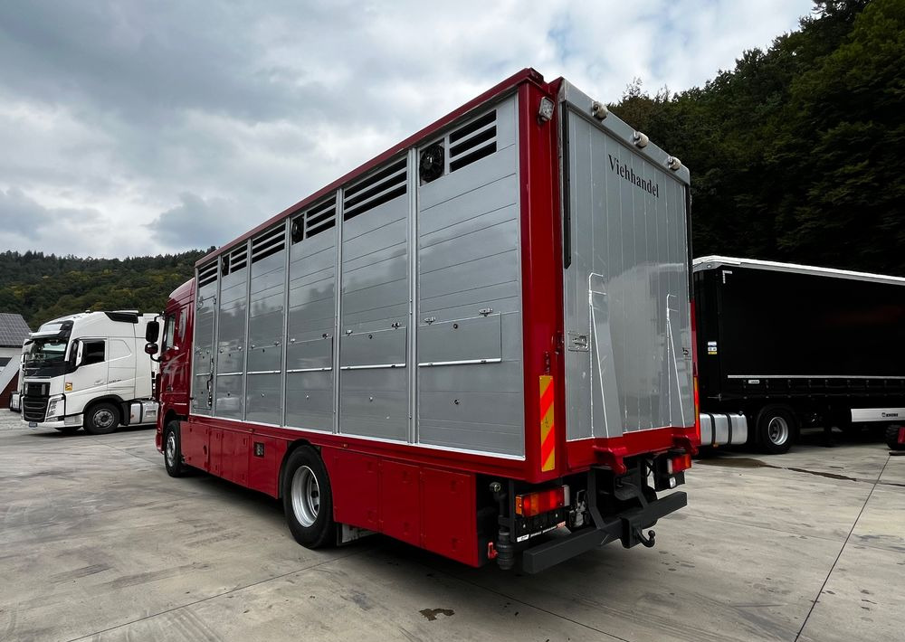 Camion bétaillère DAF XF 105.460 Euro 5 // Manual // Retarder // Do Żywca / Bydła / Zwierząt /: photos 7