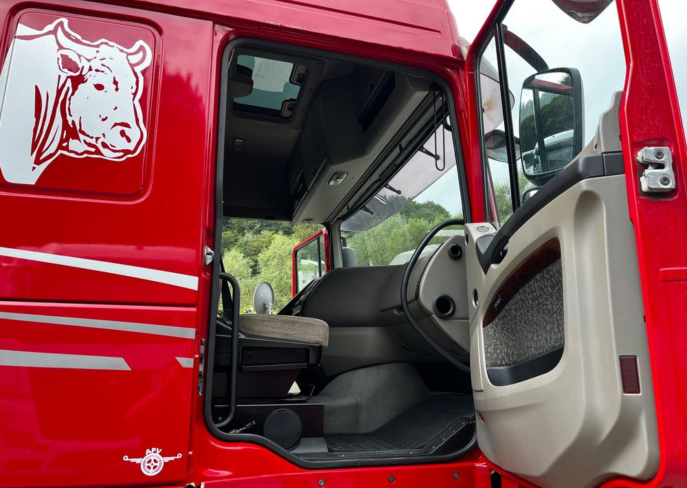 Camion bétaillère DAF XF 105.460 Euro 5 // Manual // Retarder // Do Żywca / Bydła / Zwierząt /: photos 18