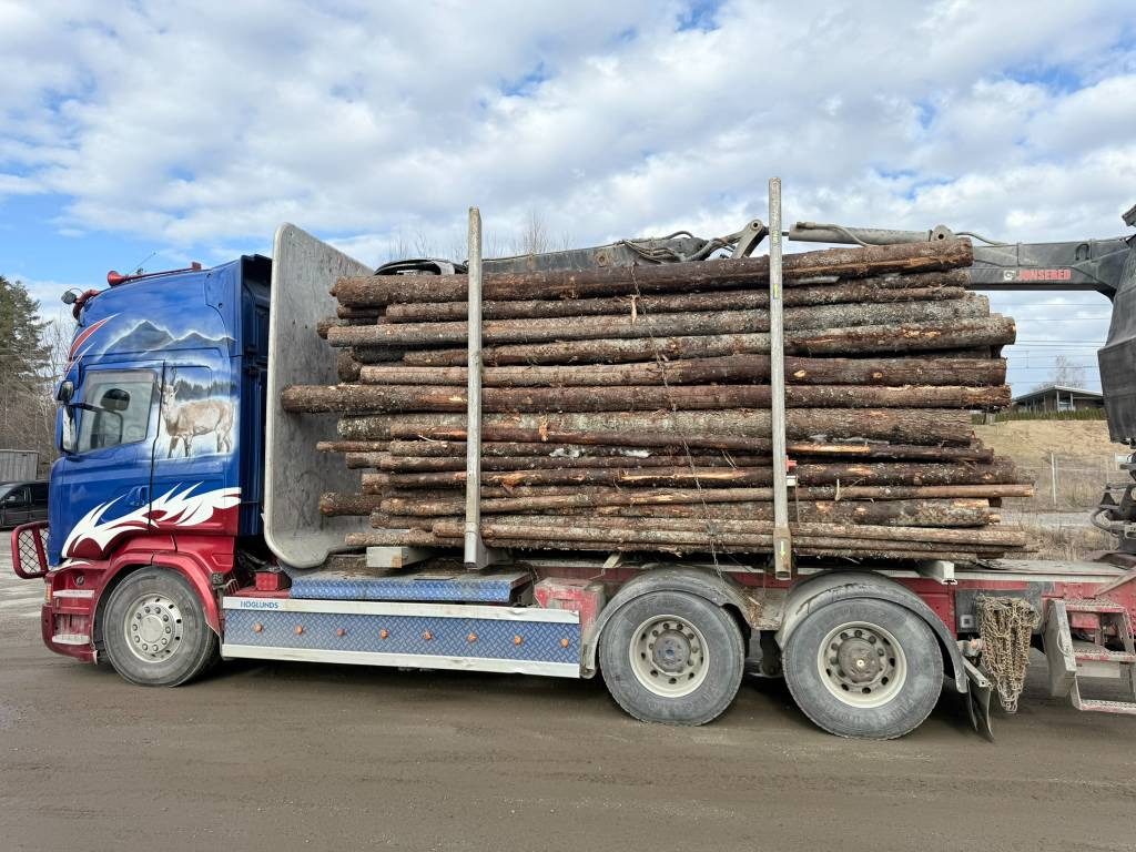 Camion grumier Scania R 730 6x4 Jonsered J1088S: photos 9