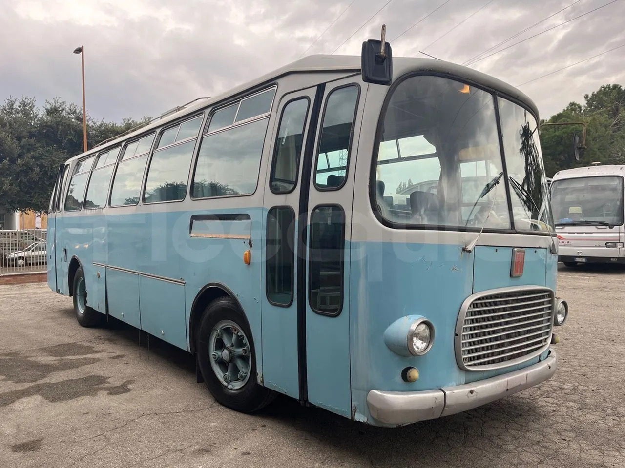 Fiat 309/1 - Bus interurbain: photos 1 Fiat 309/1 - Bus interurbain: photos 1