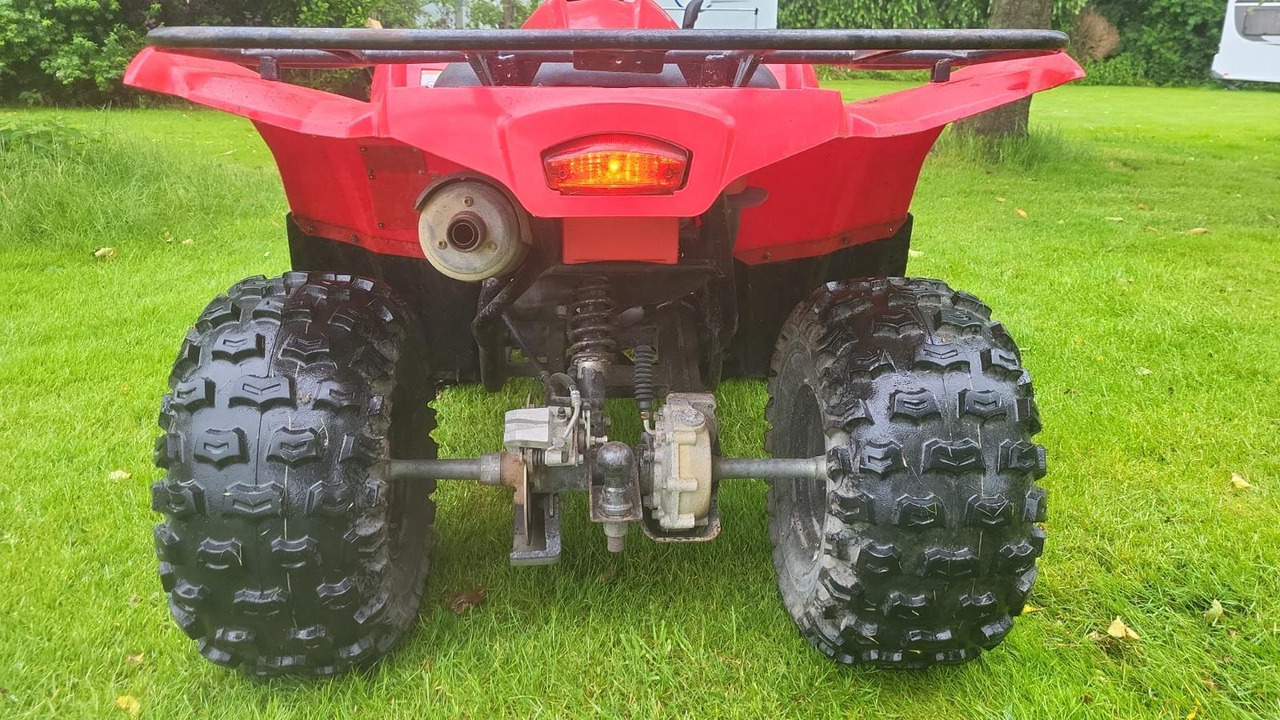 Yamaha Grizzly 300 - Quadricycle: photos 5 Yamaha Grizzly 300 - Quadricycle: photos 5