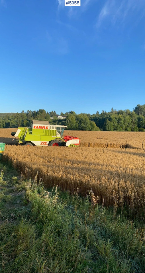 1993 Claas Commandor 228 CS - Moissonneuse-batteuse: photos 4 1993 Claas Commandor 228 CS - Moissonneuse-batteuse: photos 4