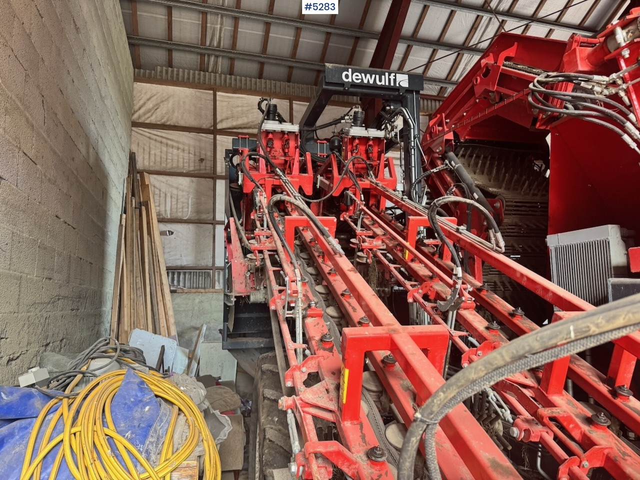 Matériel de récolte 2020 Dewulf GB11 Carrot Harvester. Well equipped.: photos 14