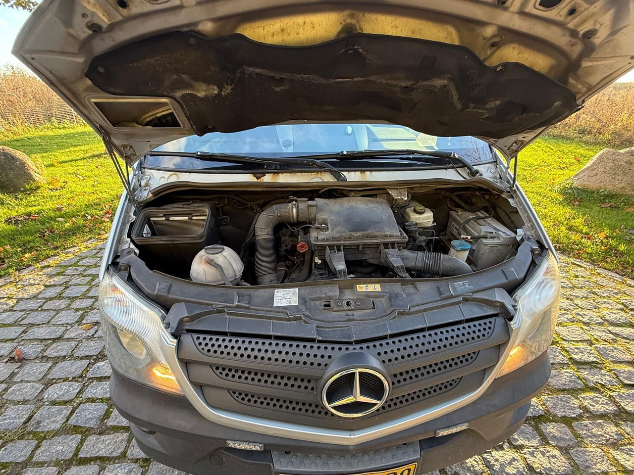 Utilitaire frigorifique Mercedes-Benz Sprinter II 316 CDI Aut. Refigerator BOX +Lift: photos 14 Utilitaire frigorifique Mercedes-Benz Sprinter II 316 CDI Aut. Refigerator BOX +Lift: photos 14