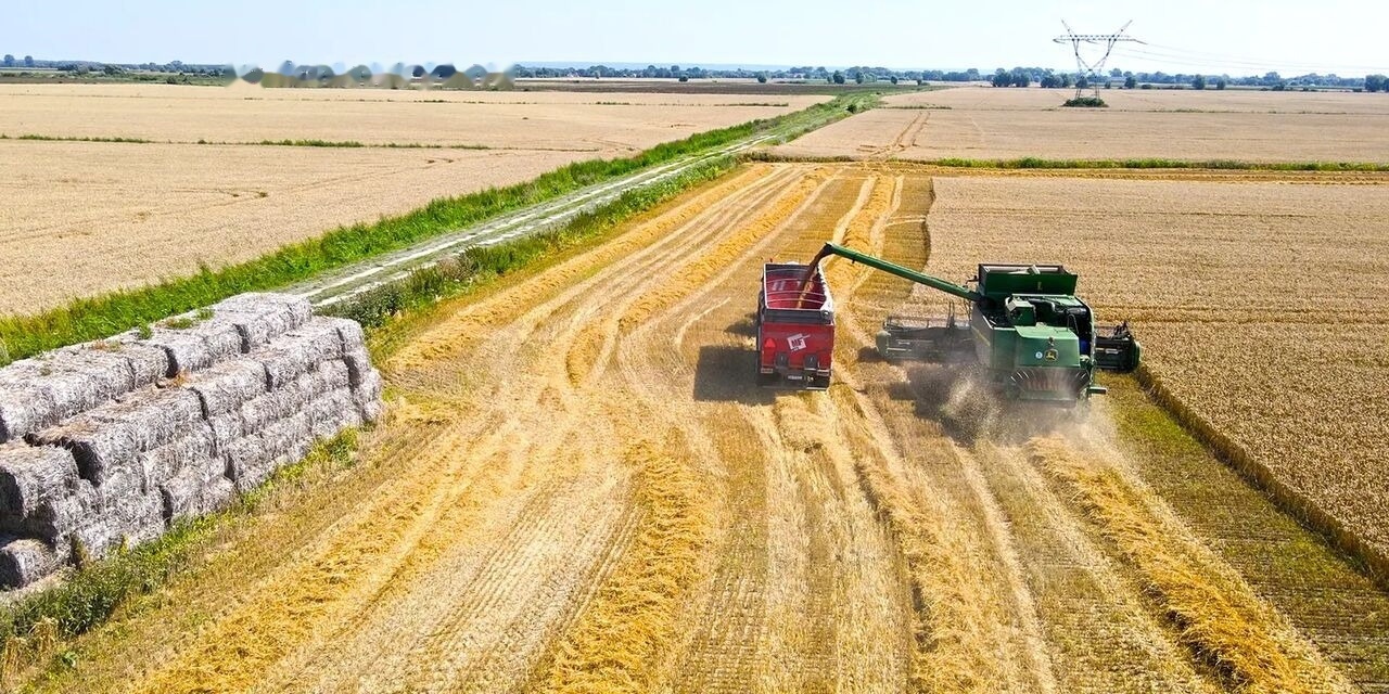 Remorque agricole neuf Metal-Fach Przyczepa skorupowa tandem T935/1 – 18t: photos 6
