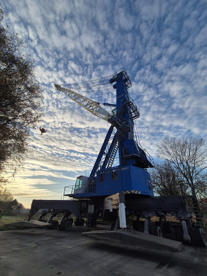 Liebherr LHM250 - Équipement portuaire: photos 1 Liebherr LHM250 - Équipement portuaire: photos 1