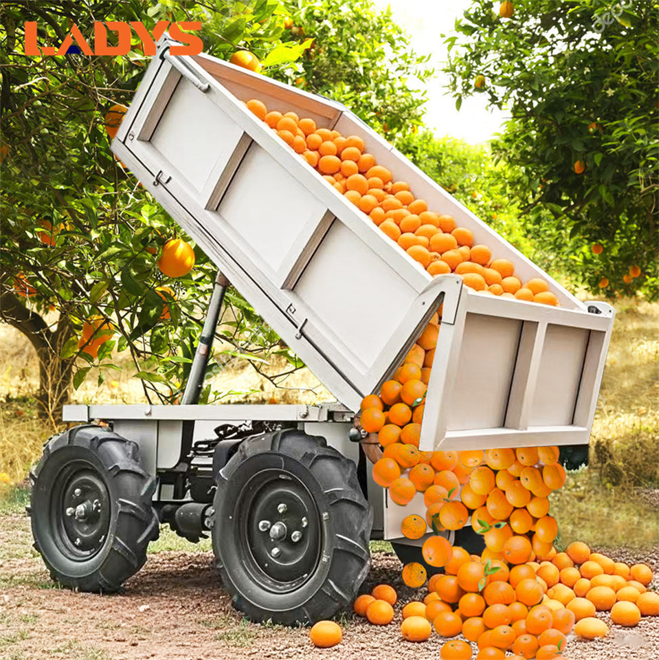 LADYS Electric Remote Control Transporter Agricultural Orchard Farm Electric Utv Material Handling Equipment All Terrain Transport Vehicle - Quadricycle: photos 2 LADYS Electric Remote Control Transporter Agricultural Orchard Farm Electric Utv Material Handling Equipment All Terrain Transport Vehicle - Quadricycle: photos 2