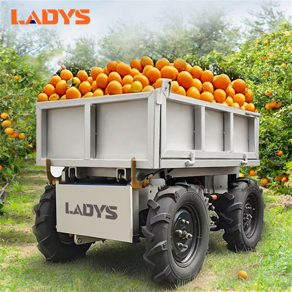 LADYS Electric Remote Control Transporter Agricultural Orchard Farm Electric Utv Material Handling Equipment All Terrain Transport Vehicle - Quadricycle: photos 1 LADYS Electric Remote Control Transporter Agricultural Orchard Farm Electric Utv Material Handling Equipment All Terrain Transport Vehicle - Quadricycle: photos 1