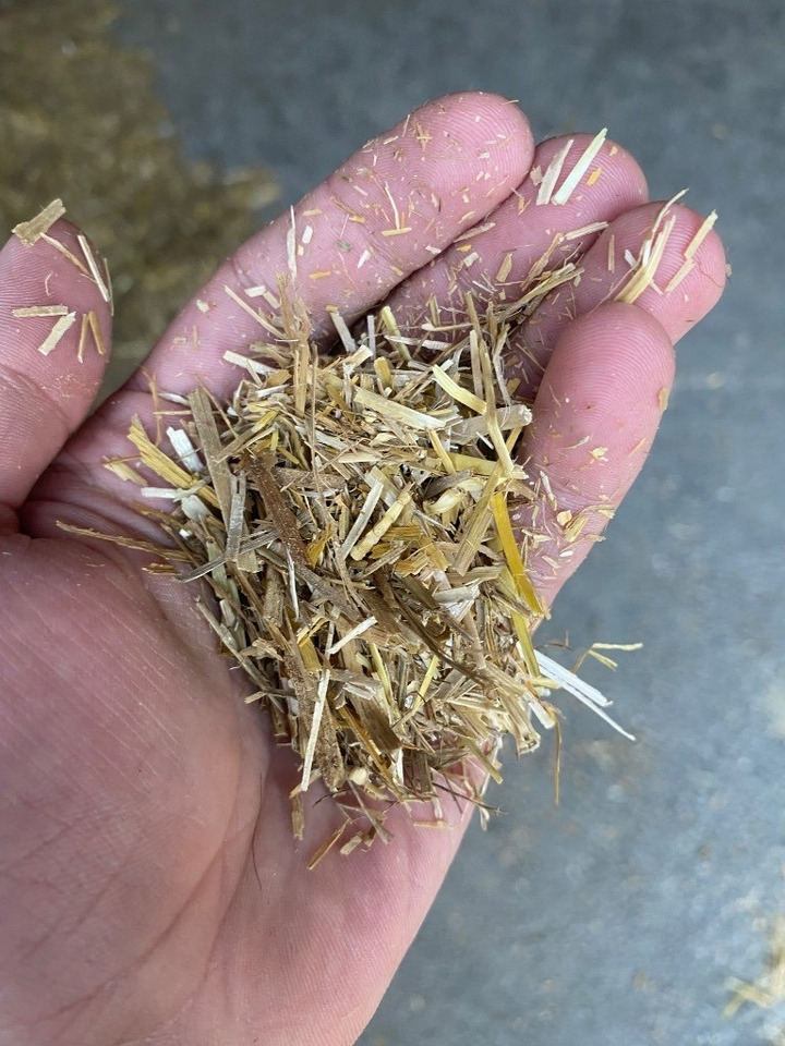 Bizon B-1130 Professional Straw and Biomass Shredder/Gri - Pailleuse: photos 4 Bizon B-1130 Professional Straw and Biomass Shredder/Gri - Pailleuse: photos 4