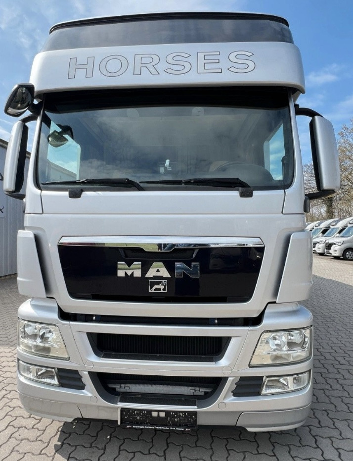 MAN 26.480 5 pferde - Camion chevaux: photos 2 MAN 26.480 5 pferde - Camion chevaux: photos 2