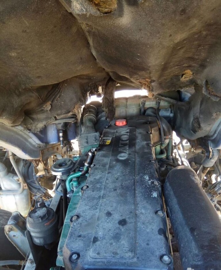 Volvo D12C 460 E3 Volvo FH 12 - Moteur pour Camion: photos 1 Volvo D12C 460 E3 Volvo FH 12 - Moteur pour Camion: photos 1