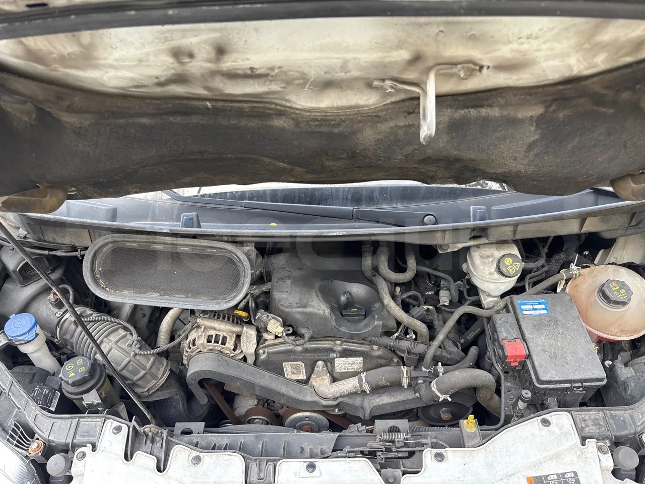 Bus interurbain Ford Transit: photos 15