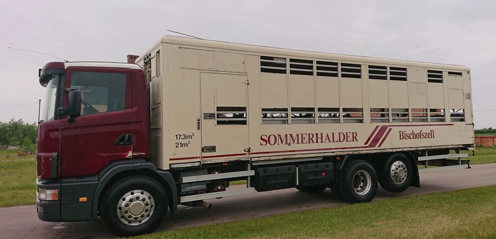 Scania 124 420 Do żywca - Camion bétaillère: photos 5 Scania 124 420 Do żywca - Camion bétaillère: photos 5