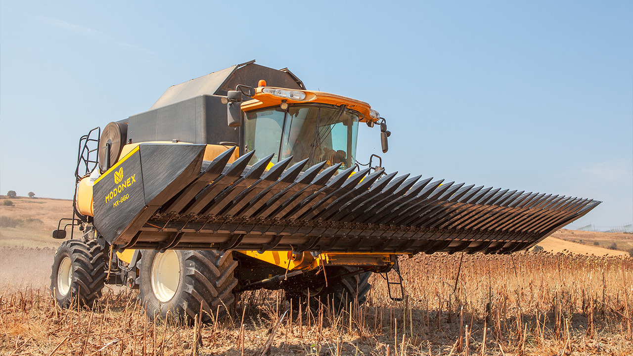 Modonex MX-630 - Equipement à tournesol: photos 1 Modonex MX-630 - Equipement à tournesol: photos 1