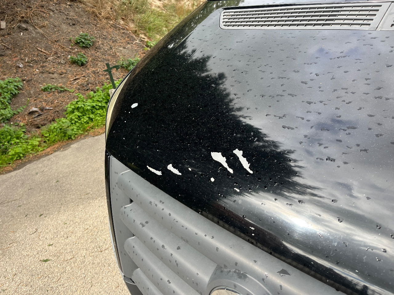 Volkswagen Crafter - Fourgon utilitaire: photos 5 Volkswagen Crafter - Fourgon utilitaire: photos 5