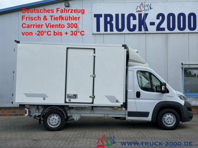 Fiat Ducato 2.3 Frisch- Tiefkühler Carrier Viento300 - Utilitaire frigorifique: photos 1 Fiat Ducato 2.3 Frisch- Tiefkühler Carrier Viento300 - Utilitaire frigorifique: photos 1