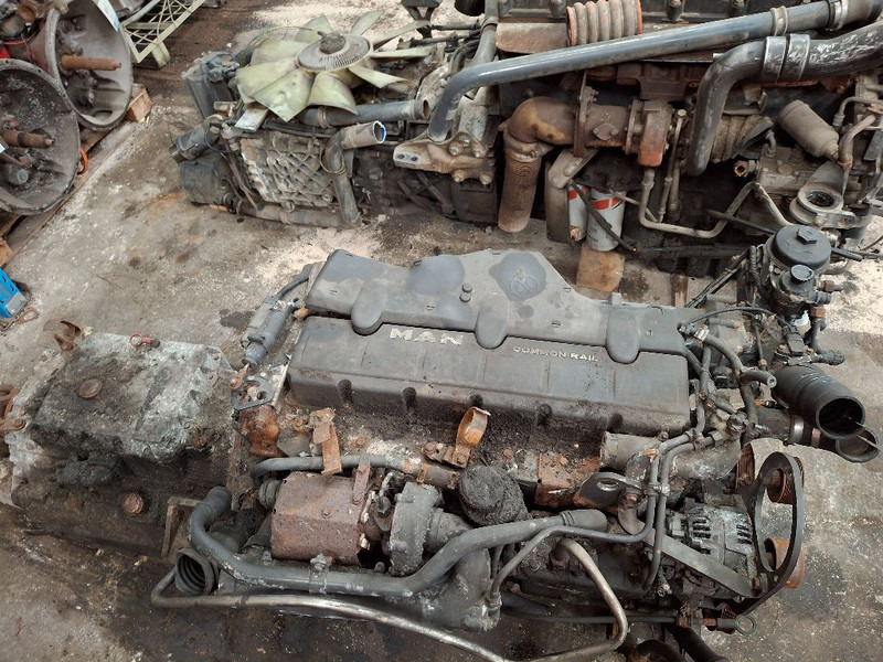 Moteur MAN D0836LOH63: photos 6