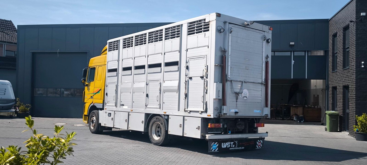 Camion chevaux DAF XF 410 SC Menke Doppelstock: photos 6