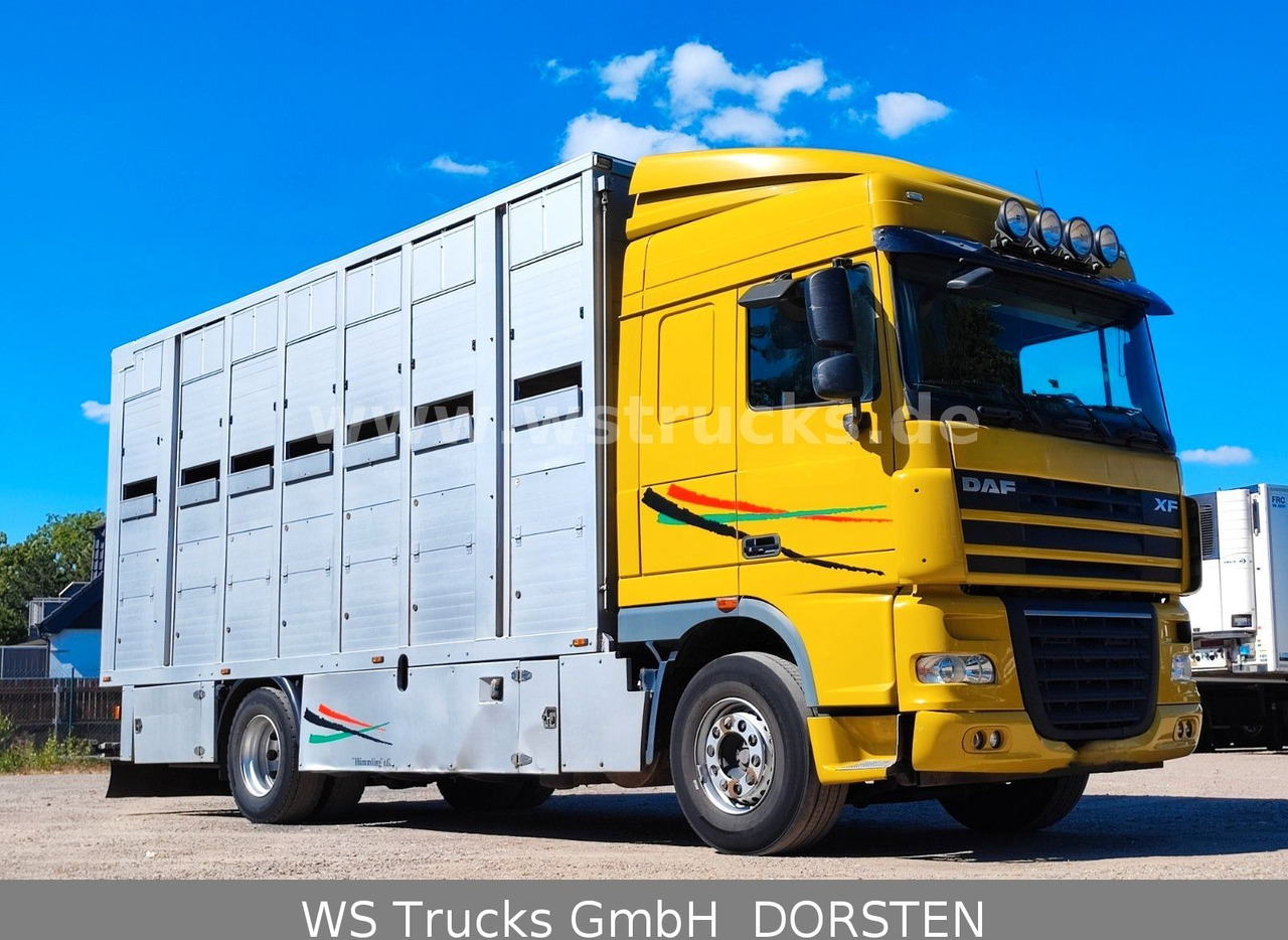 DAF XF 410 SC Menke Doppelstock - Camion chevaux: photos 2 DAF XF 410 SC Menke Doppelstock - Camion chevaux: photos 2