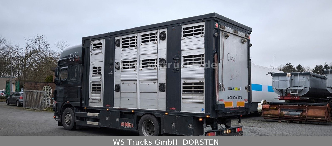 DAF XF 510 Finkl 2 Stock Hubdach - Camion chevaux: photos 5 DAF XF 510 Finkl 2 Stock Hubdach - Camion chevaux: photos 5
