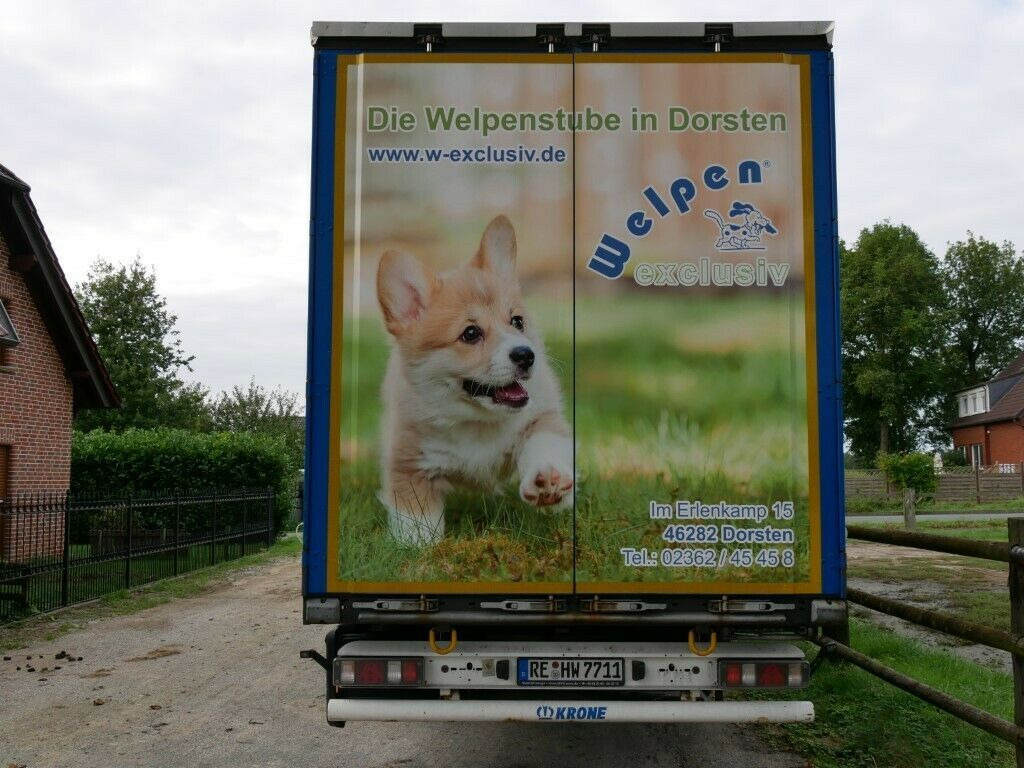 Krone  SDP27 Profiliner Edscher  XL Top  - Semi-remorque rideaux coulissants: photos 3 Krone  SDP27 Profiliner Edscher  XL Top  - Semi-remorque rideaux coulissants: photos 3