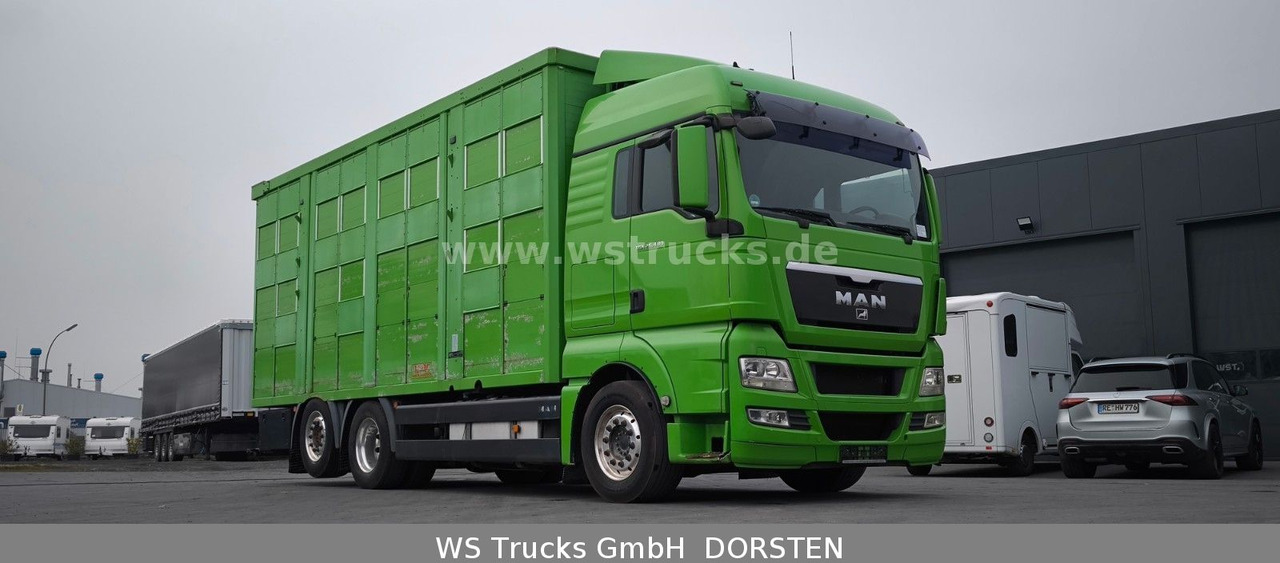 MAN TGX 26.480 XL KABA 3 Stock Viehtransporter - Camion chevaux: photos 4 MAN TGX 26.480 XL KABA 3 Stock Viehtransporter - Camion chevaux: photos 4