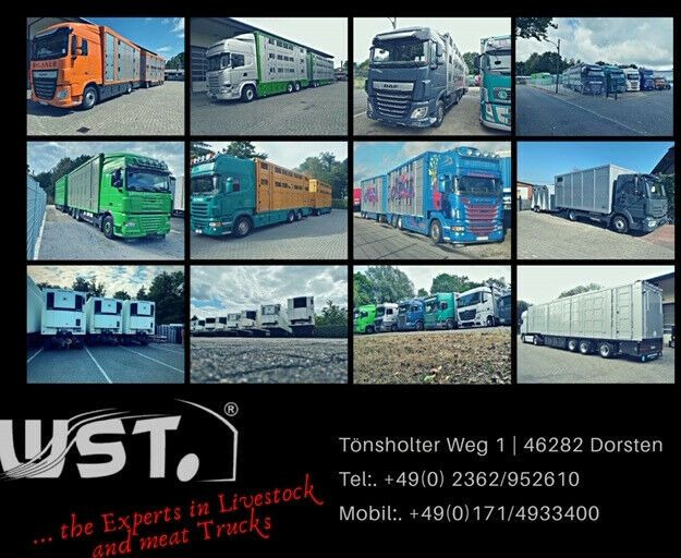 Semi-remorque frigorifique Schmitz Cargobull SKO 24 Kühlauflieger Vector 1550 Strom/Diesel: photos 22