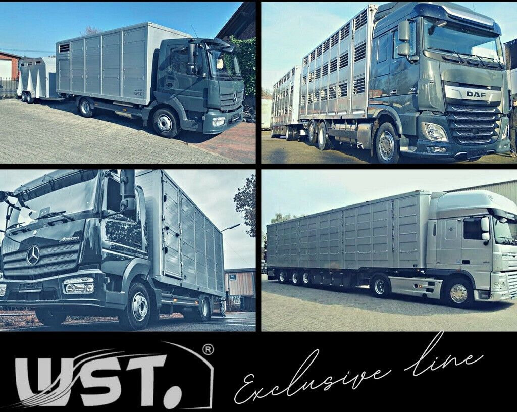 Semi-remorque frigorifique Schmitz Cargobull SKO 24 Kühlauflieger Vector 1550 Strom/Diesel: photos 21