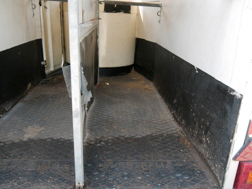 Westfalia Vollpoly 2 Pferde mit Sattelkammer - Van chevaux: photos 5 Westfalia Vollpoly 2 Pferde mit Sattelkammer - Van chevaux: photos 5