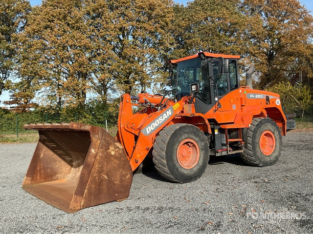 2016 Doosan DL250-3 Wheel Loader - Chargeuse sur pneus: photos 2 2016 Doosan DL250-3 Wheel Loader - Chargeuse sur pneus: photos 2