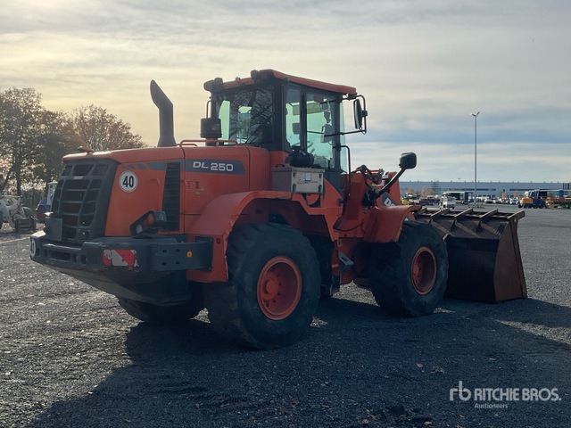 2016 Doosan DL250-3 Wheel Loader - Chargeuse sur pneus: photos 3 2016 Doosan DL250-3 Wheel Loader - Chargeuse sur pneus: photos 3
