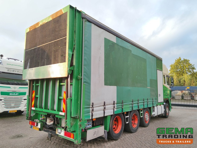 DAF FAK XF95.430 8x2 Super SuperSpaceCab Euro3 - CurtainSider 7.31m + Ramp 16T - MachineTransporter - 6 Persons (V558) - Camion porte-voitures: photos 4 DAF FAK XF95.430 8x2 Super SuperSpaceCab Euro3 - CurtainSider 7.31m + Ramp 16T - MachineTransporter - 6 Persons (V558) - Camion porte-voitures: photos 4