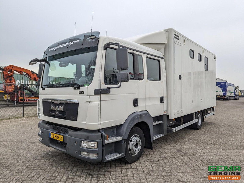 MAN TGL 12.180 4x2 DoKa 7 pers. Euro5 EEV - Paardenwagen 2-Paards - 147.000km! - MARGE - Camion chevaux: photos 3 MAN TGL 12.180 4x2 DoKa 7 pers. Euro5 EEV - Paardenwagen 2-Paards - 147.000km! - MARGE - Camion chevaux: photos 3