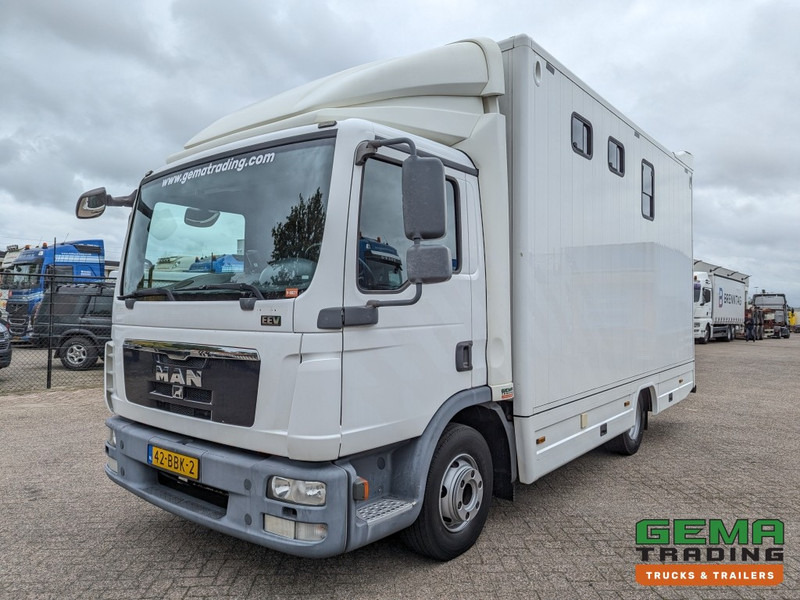 MAN TGL 12.250 4x2 Euro5 EEV RC HorseTruck - 2a3 Paards - 135.000km - MARGE (V821) - Camion chevaux: photos 2 MAN TGL 12.250 4x2 Euro5 EEV RC HorseTruck - 2a3 Paards - 135.000km - MARGE (V821) - Camion chevaux: photos 2