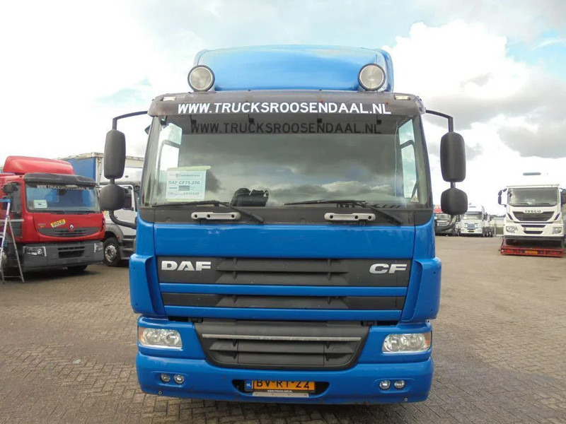 DAF CF 75.250 + Euro 5 - Châssis cabine: photos 2 DAF CF 75.250 + Euro 5 - Châssis cabine: photos 2