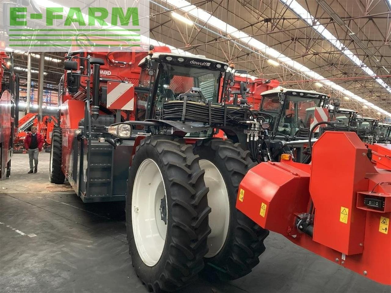 Dewulf rqa3060 - topkæde - Arracheuse de pommes de terre: photos 1 Dewulf rqa3060 - topkæde - Arracheuse de pommes de terre: photos 1