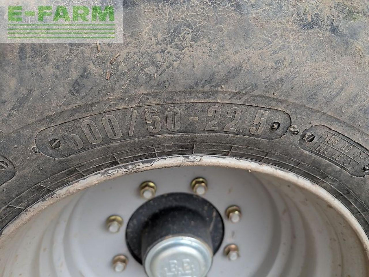 Arracheuse de pommes de terre Grimme se 75 - 55: photos 16