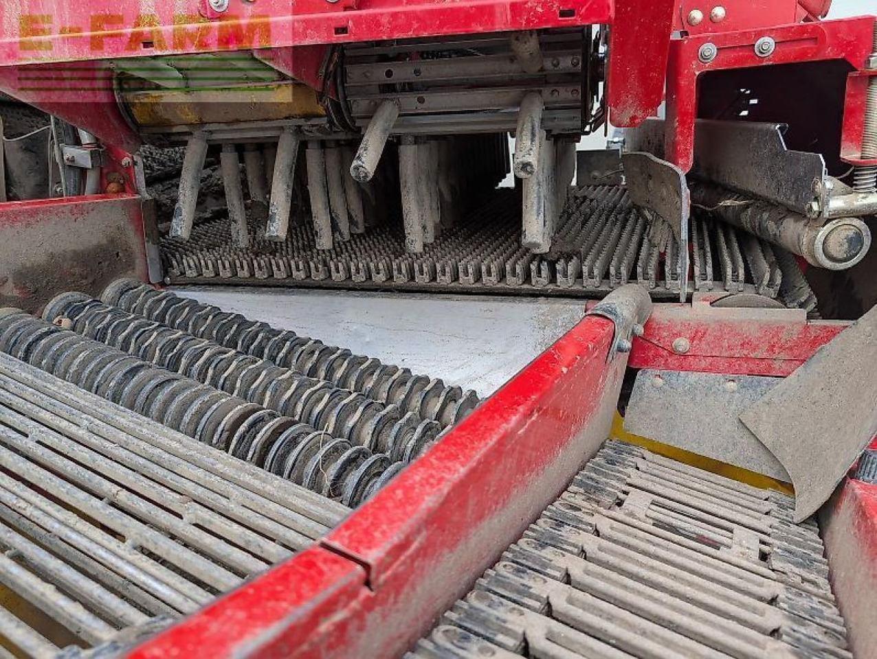 Arracheuse de pommes de terre Grimme se 75 - 55: photos 8