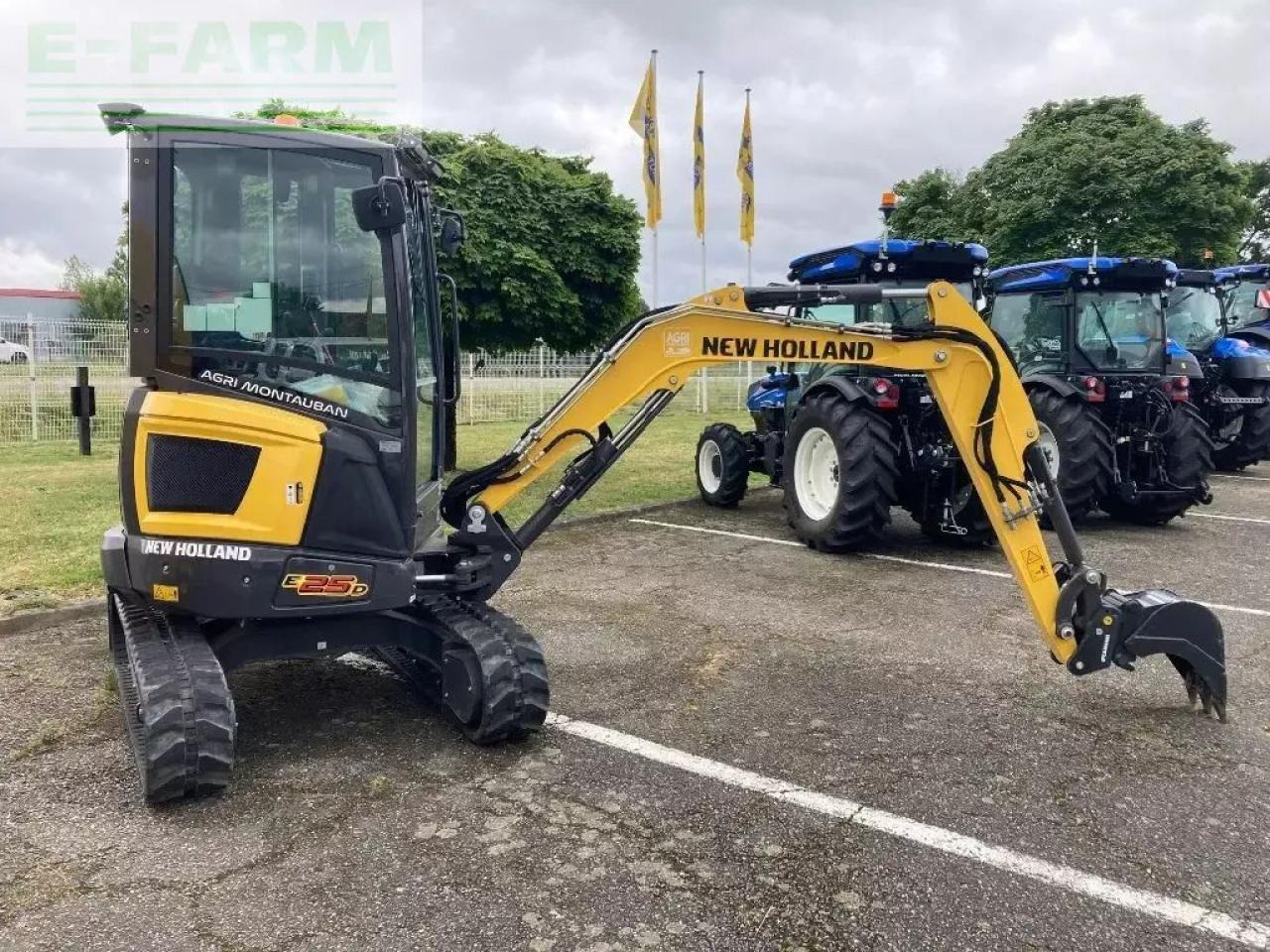 New Holland e 25 d - Mini pelle: photos 1 New Holland e 25 d - Mini pelle: photos 1