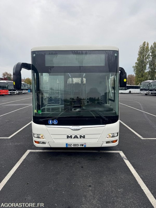 BUS URBAIN MAN / 2016 / 253 000 KM - Bus urbain: photos 2 BUS URBAIN MAN / 2016 / 253 000 KM - Bus urbain: photos 2