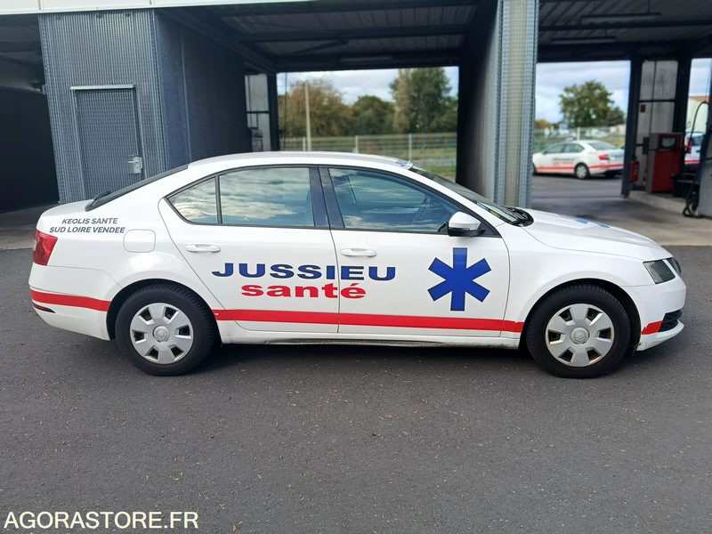 FB-732-ZZ - Non Roulant - SKODA OCTAVIA - VP - 309 757 Kms - Voiture: photos 1 FB-732-ZZ - Non Roulant - SKODA OCTAVIA - VP - 309 757 Kms - Voiture: photos 1