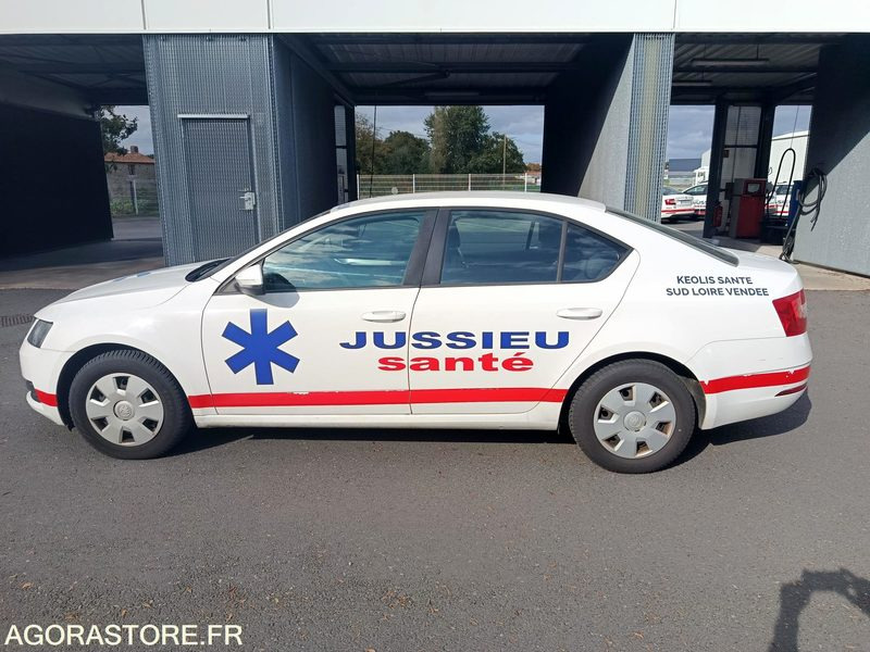 FB-732-ZZ - Non Roulant - SKODA OCTAVIA - VP - 309 757 Kms - Voiture: photos 2 FB-732-ZZ - Non Roulant - SKODA OCTAVIA - VP - 309 757 Kms - Voiture: photos 2