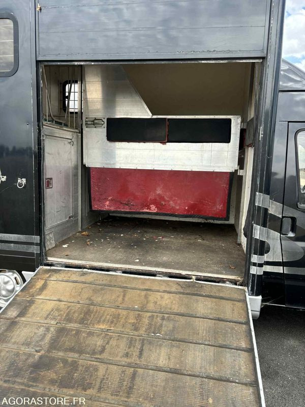 Fourgon FORD - Transport de 2 Chevaux - 2004 - 137 510 KM - Fourgon utilitaire: photos 3 Fourgon FORD - Transport de 2 Chevaux - 2004 - 137 510 KM - Fourgon utilitaire: photos 3