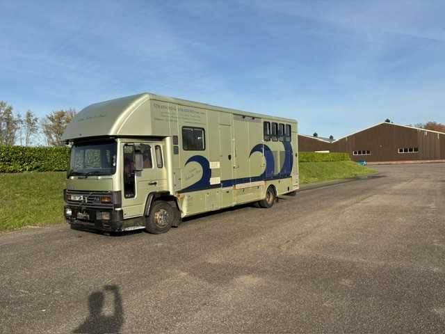 1993 VOLVO FL 612 TRUCK HORSE TRAILER - Camion: photos 5 1993 VOLVO FL 612 TRUCK HORSE TRAILER - Camion: photos 5