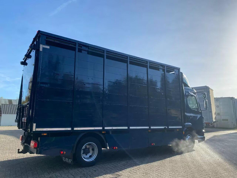 DAF LF 280 - Camion bétaillère: photos 3 DAF LF 280 - Camion bétaillère: photos 3