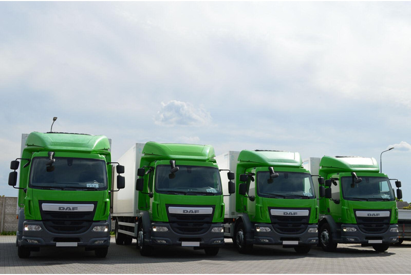 DAF LF 320 - Camion frigorifique: photos 2 DAF LF 320 - Camion frigorifique: photos 2