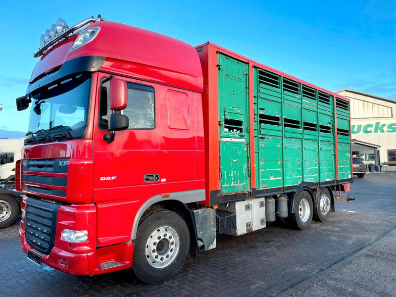 DAF XF 105.460 2-Stock Finkl Viehaufbau / Lenkachs - Camion bétaillère: photos 2 DAF XF 105.460 2-Stock Finkl Viehaufbau / Lenkachs - Camion bétaillère: photos 2